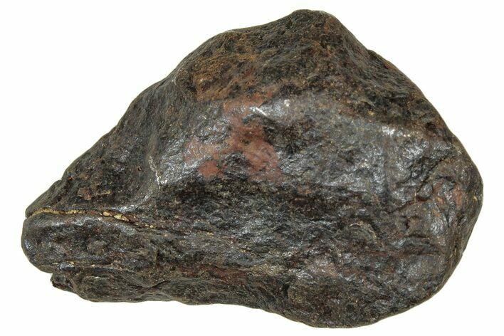 Canyon Diablo Iron Meteorite ( g) - Arizona #303493